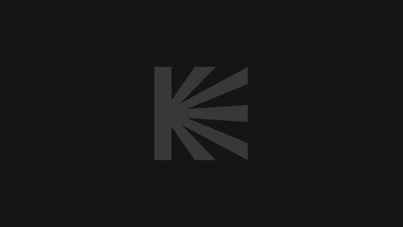 domovenok-kuzia-2
